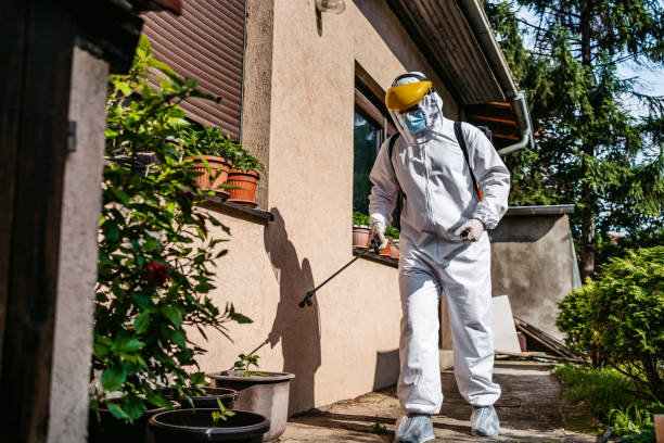 Best Local Pest Control Services  in Mount Kisco, NY