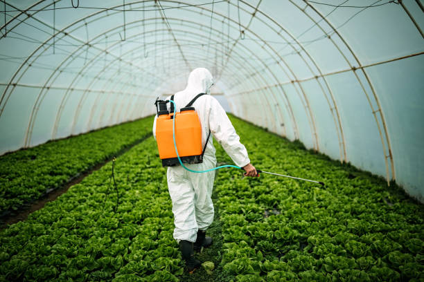 Best Residential Pest Control  in Mount Kisco, NY