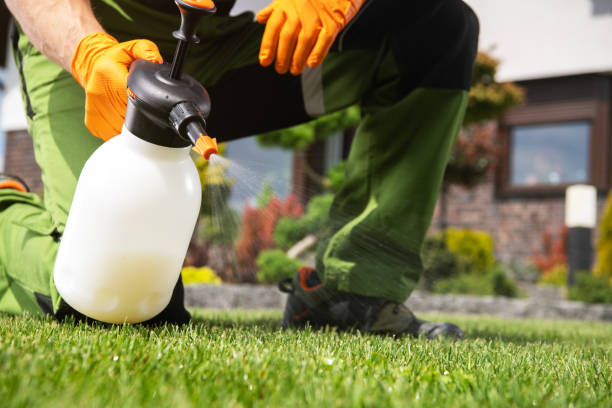 Professional Pest Control in Mount Kisco, NY