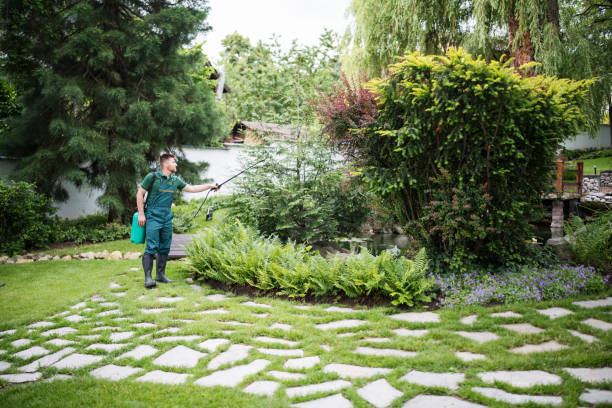 Best Best Pest Control Near Me  in Mount Kisco, NY