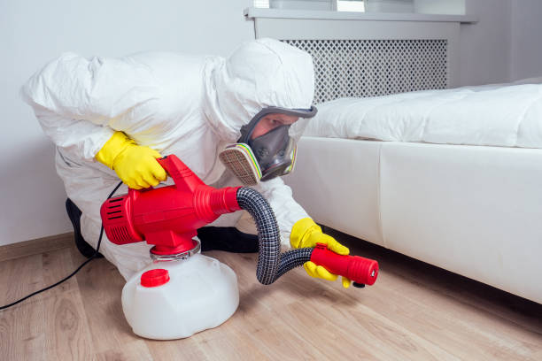 Best Flea Control Services  in Mount Kisco, NY