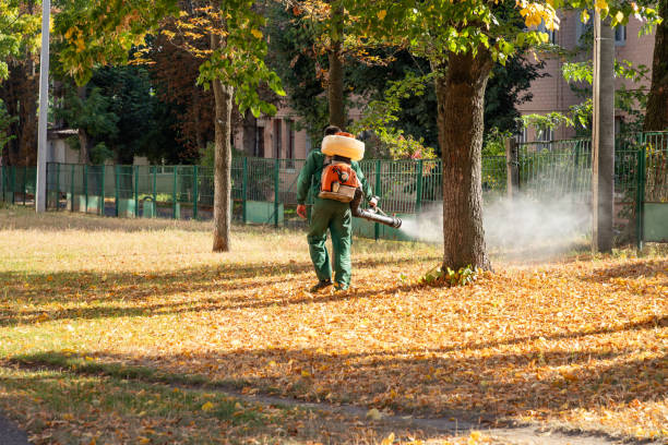 Best Rodent Control Near Me  in Mount Kisco, NY